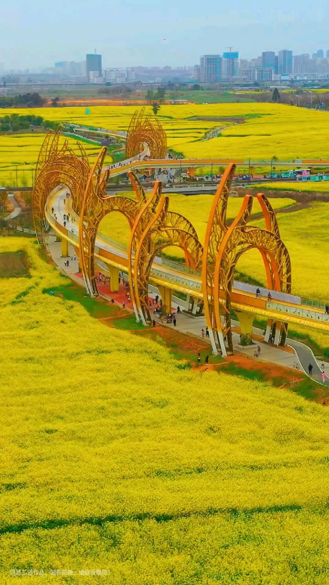 成都绕城绿道油菜花海美得不要不要的