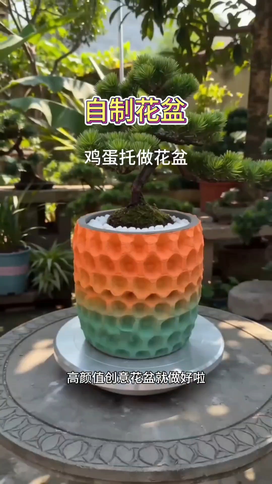 万万没想到，用鸡蛋托竟能做出创意花盆#自制花盆##绿植盆栽# #创意手工#