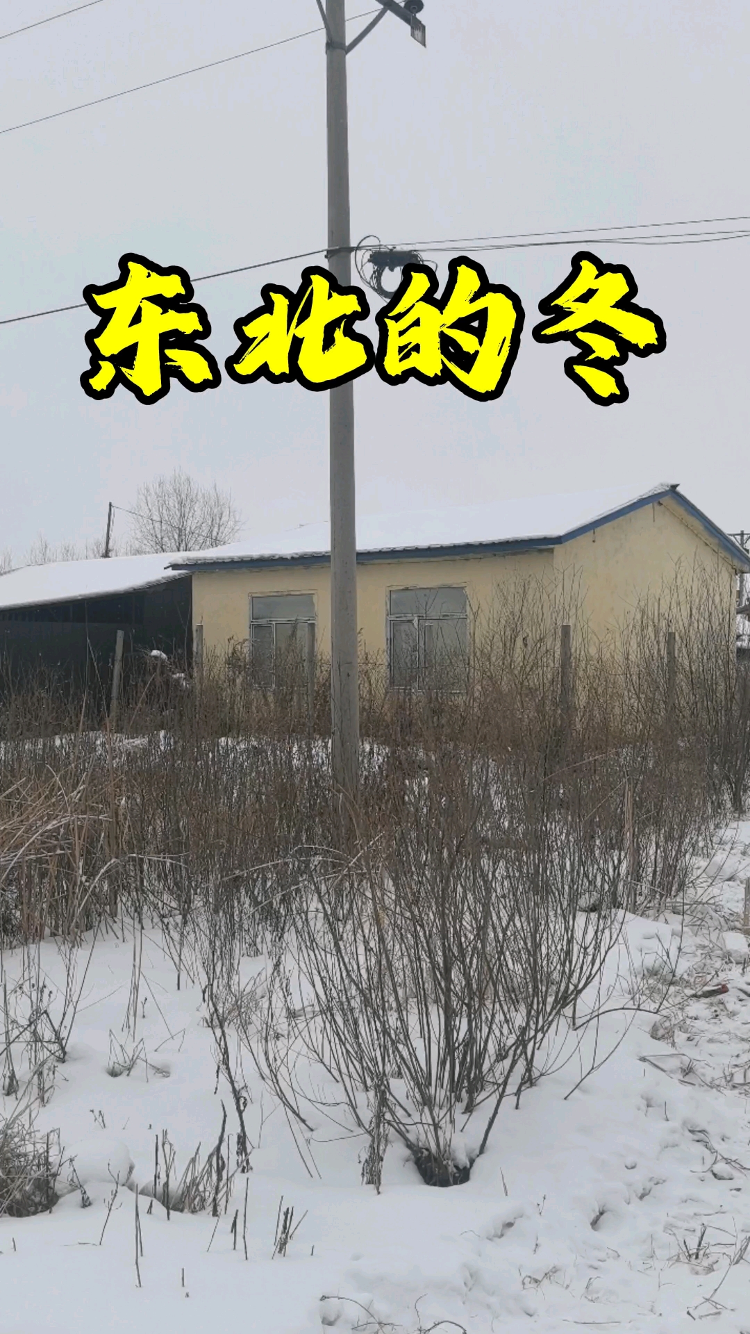 东北农村的冬天,哈尔滨周边村屯随拍 #东北农村 #哈尔滨农村