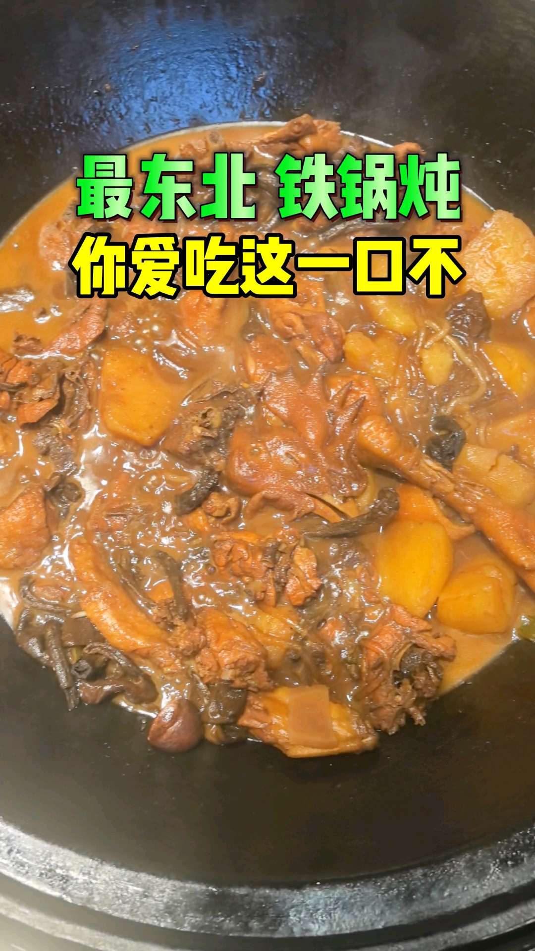 小鸡炖蘑菇!算最有东北特色菜了吧?你爱吃不?#东北菜 #小鸡