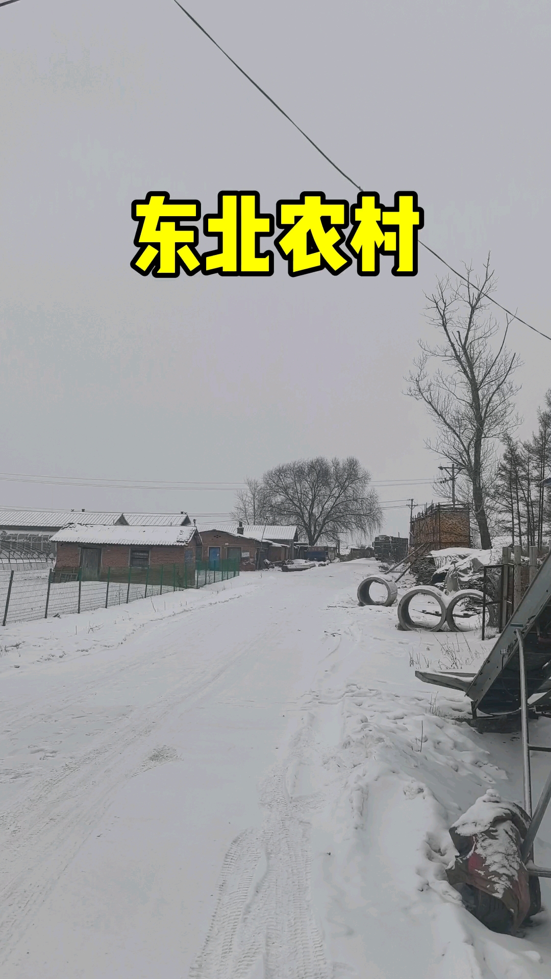 东北冬天里的农村,哈尔滨周边村屯 #东北农村 #黑龙江农村 