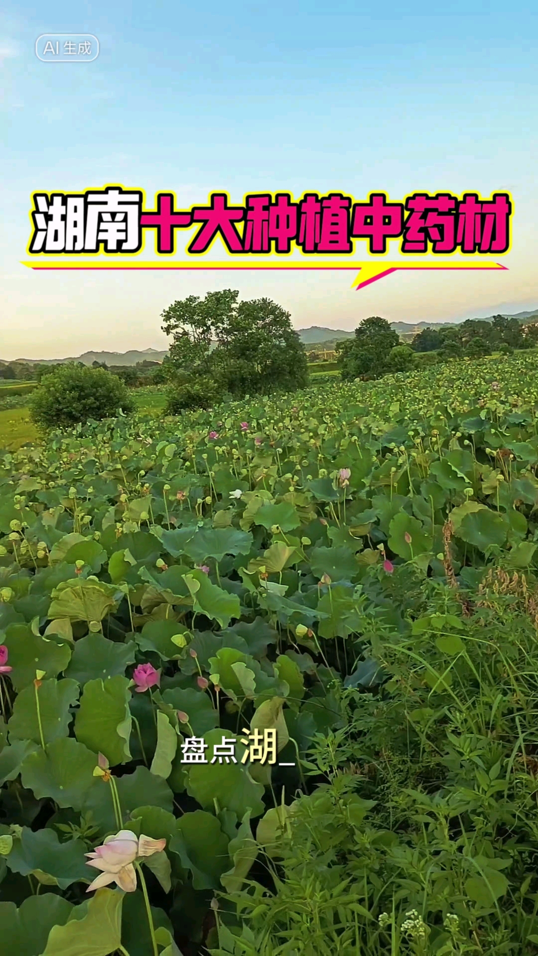 湖南省十大种植中药材