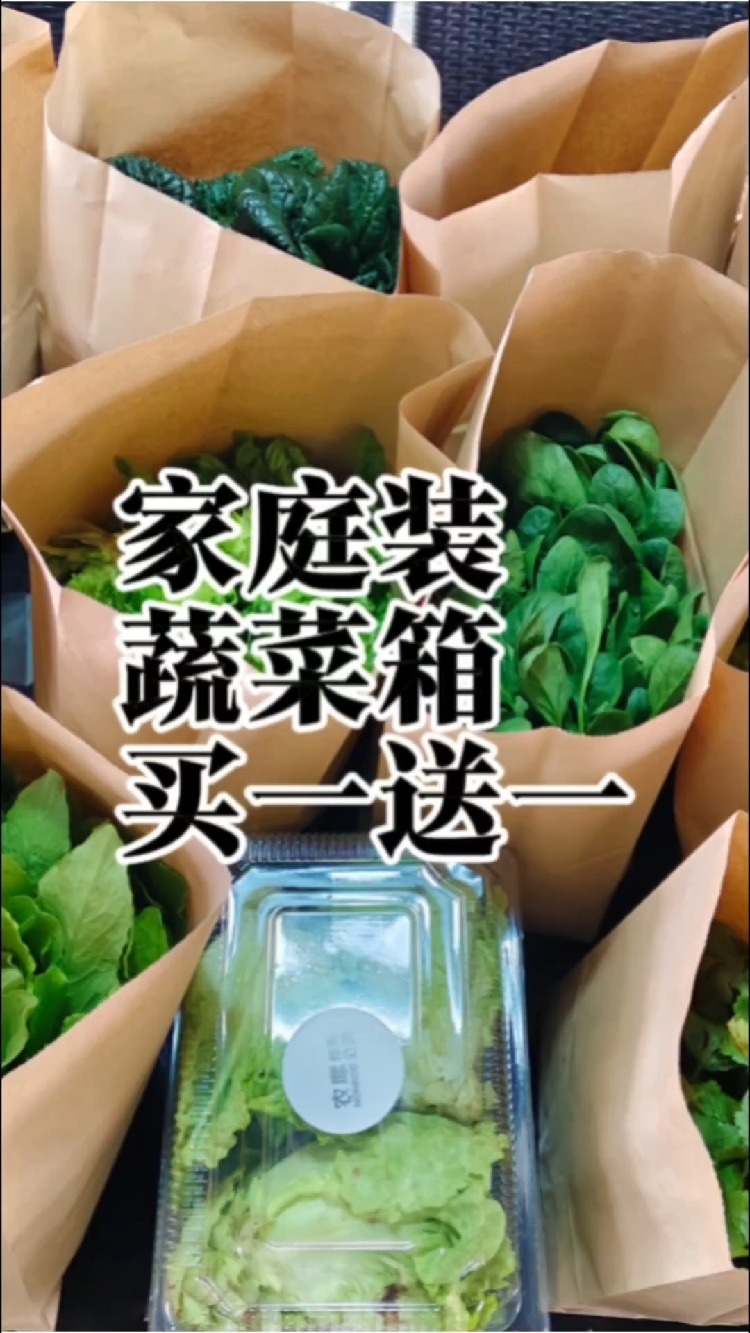 自然生长蔬菜箱家庭装买一送一