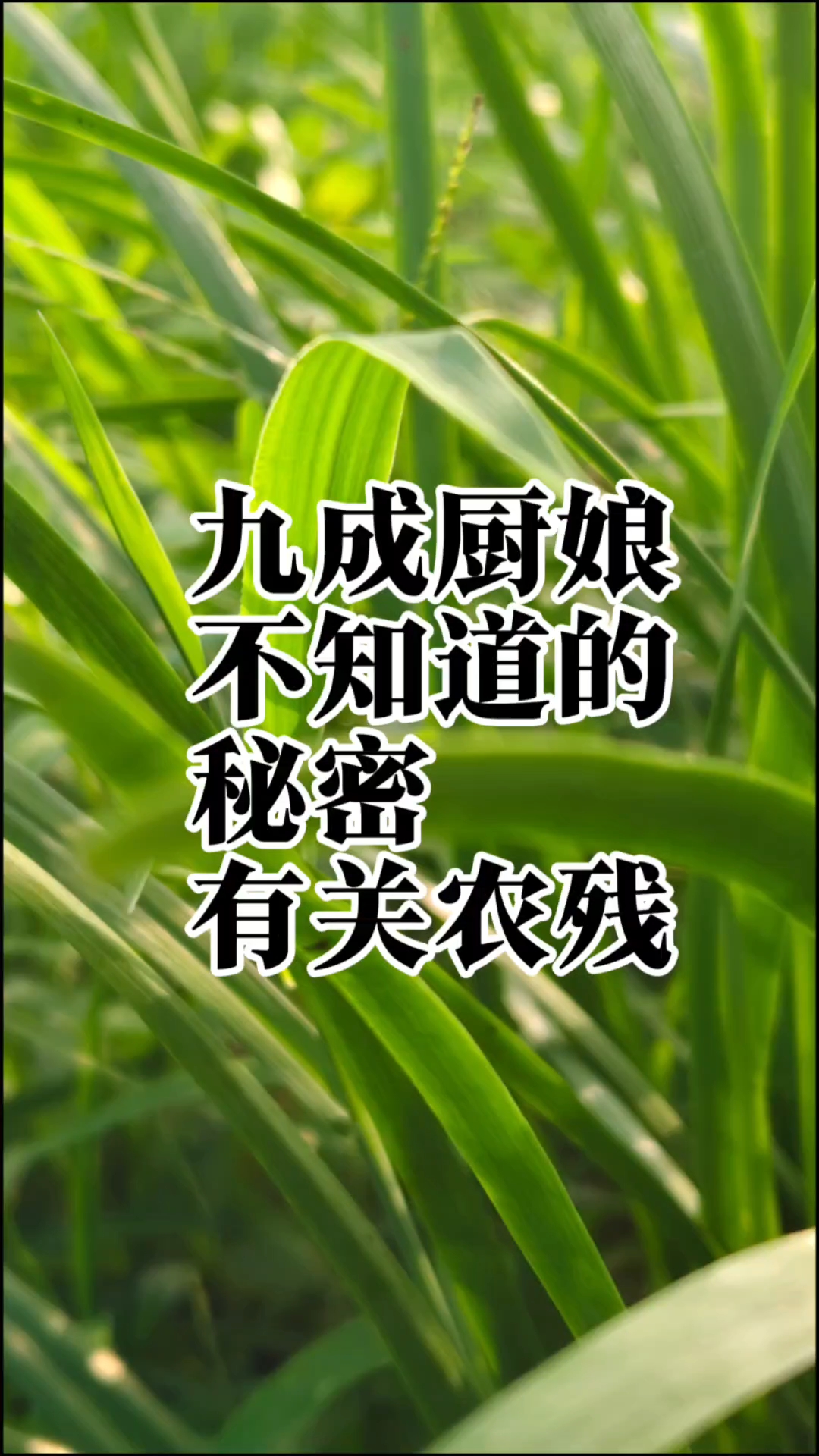 九成厨娘不知道的秘密,有关农残