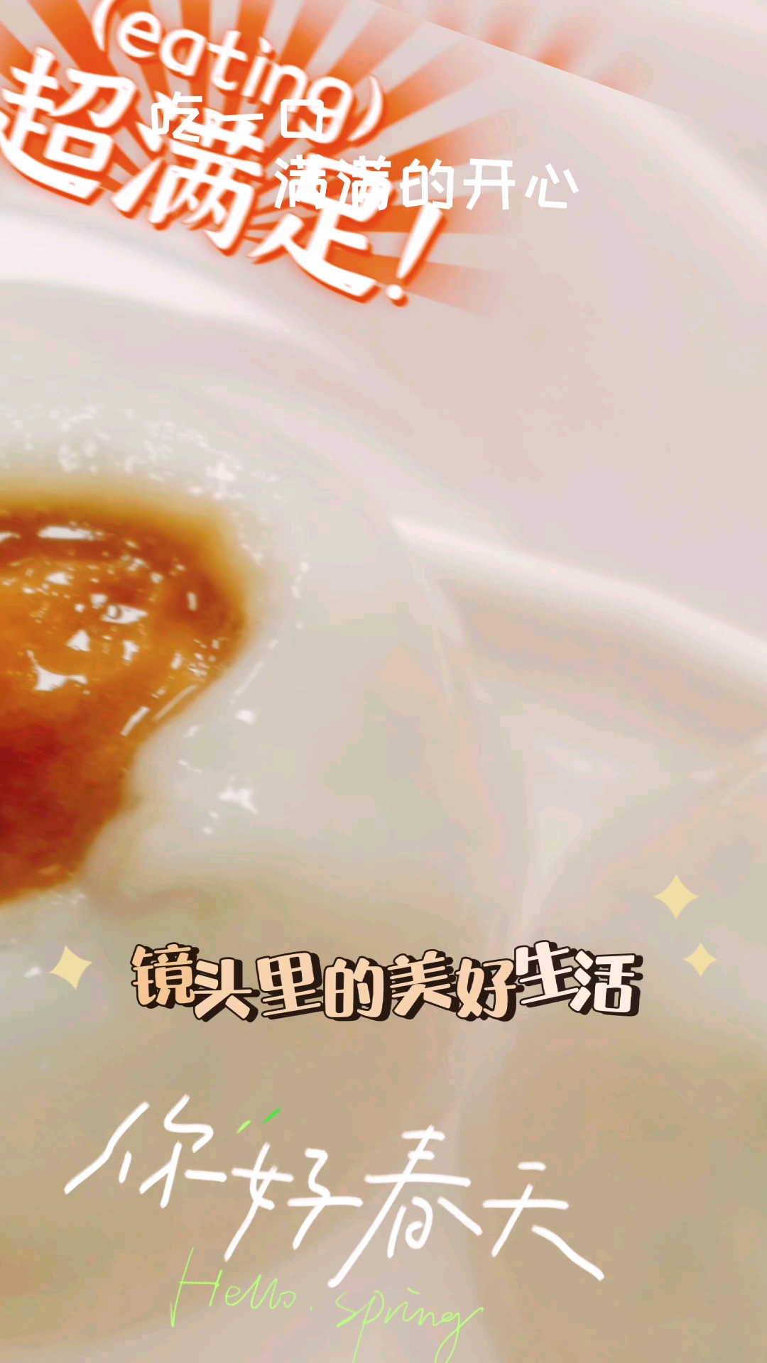 主动的好吃鲜肉汤圆 鲜肉大馄饨 鲜肉小馄饨