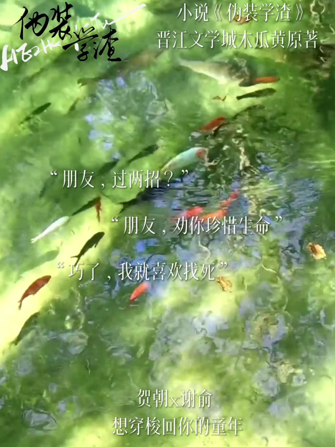 #伪装学渣#朝俞