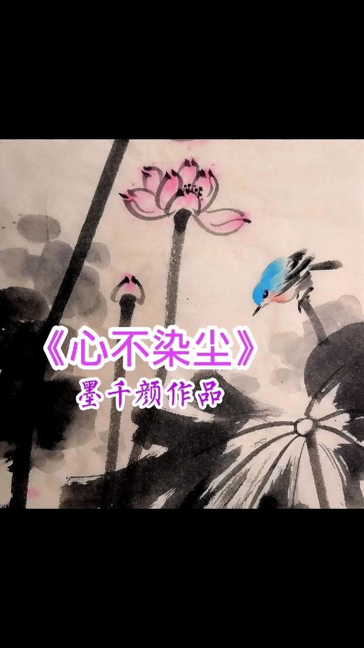 书画名家:《心不染尘》墨千颜(任寒墨)老师彩墨荷花大写意