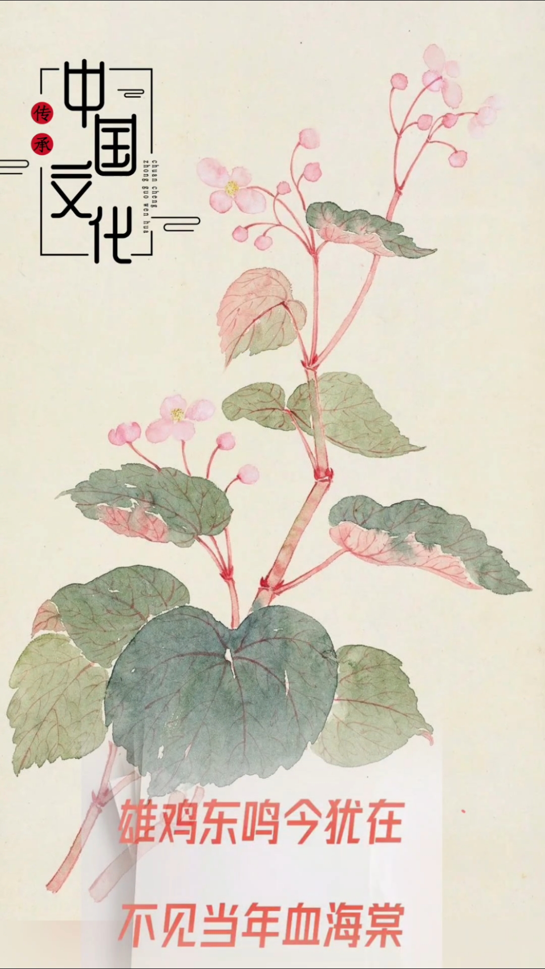 世人只知雄鸡图,谁人犹记海棠泪!盼望踏上思念路 飞纵千里山