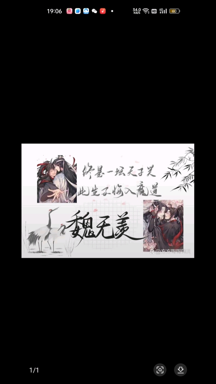 魏无羡和蓝忘机好漂亮!!!