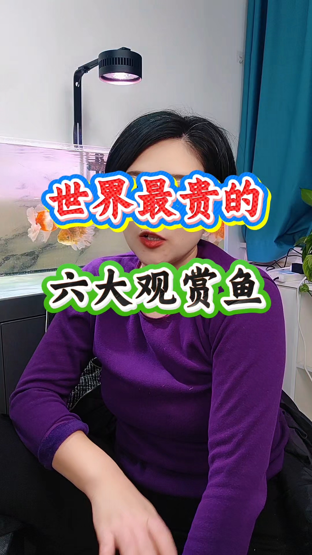 最贵的六种观赏鱼#观赏鱼#养鱼人#养鱼知识