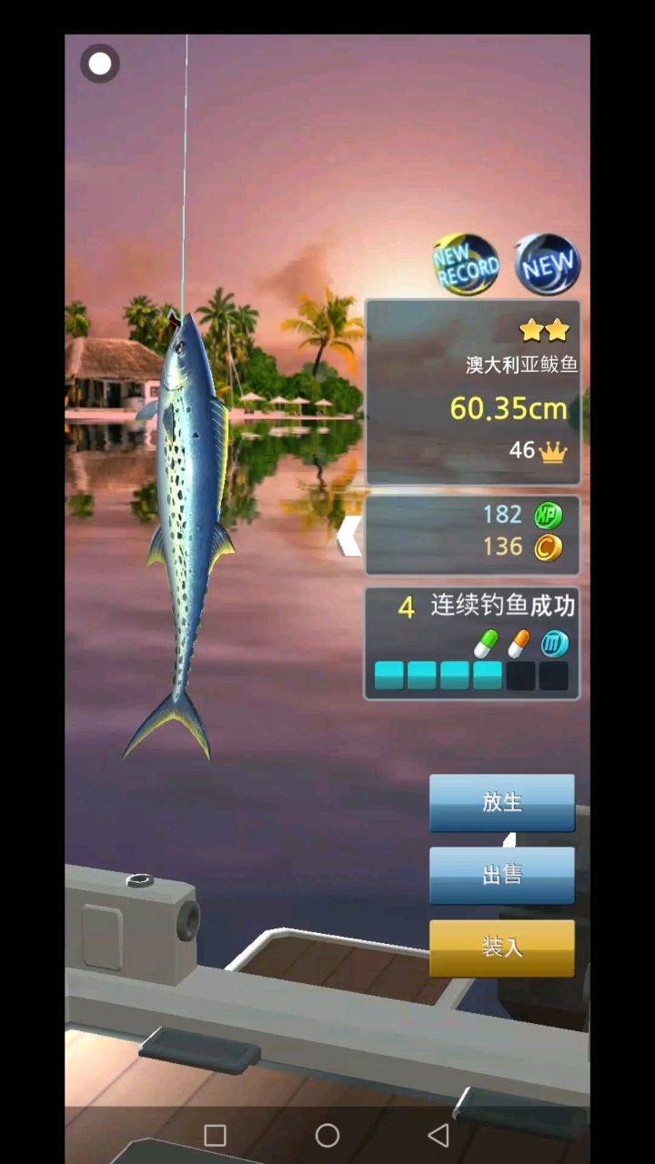 钓到的鱼都非常好看