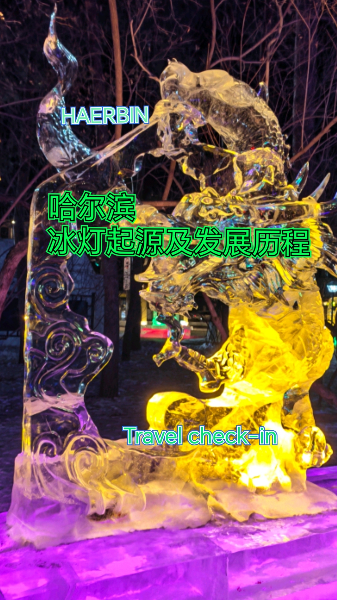 灯耀百年，记述哈尔滨冰灯起源及发展历程。#兆麟公园 @泽锴洱