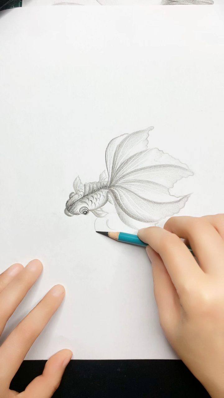 零基础炭笔画画金鱼的画法，小白也能轻松上手