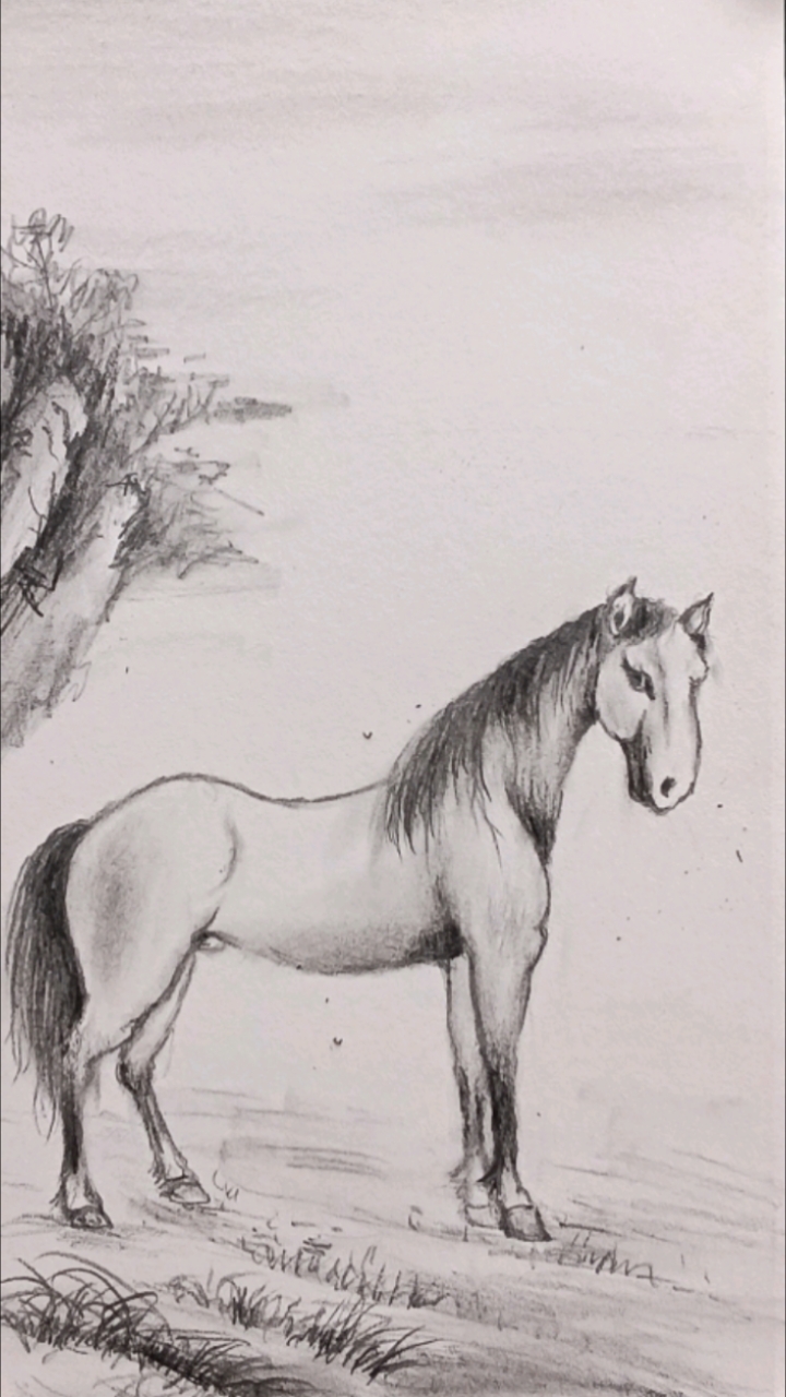素描画骏马有意思