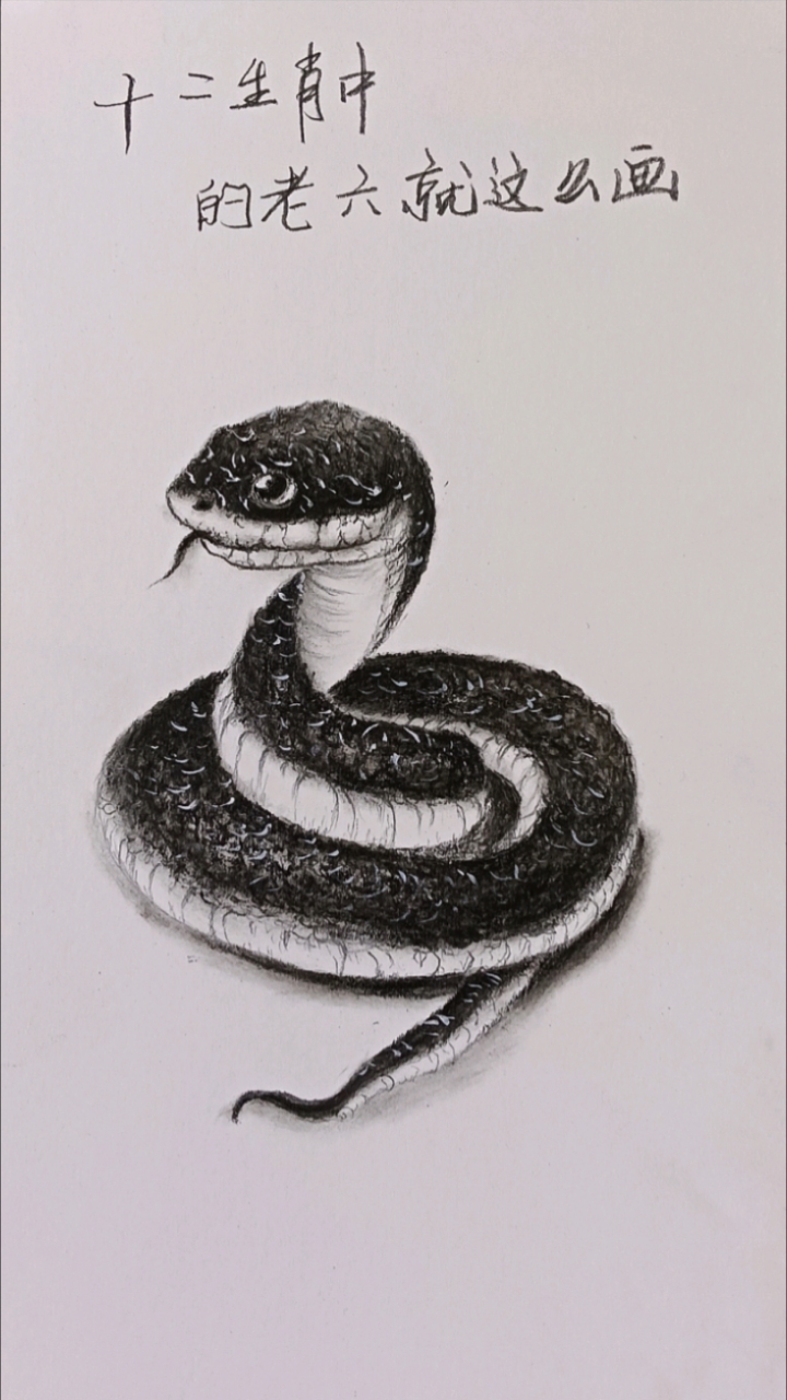 素描画你:生肖中的老六就这么画