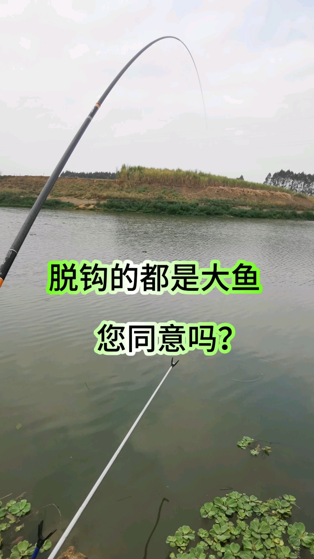 脱钩的都是大鱼