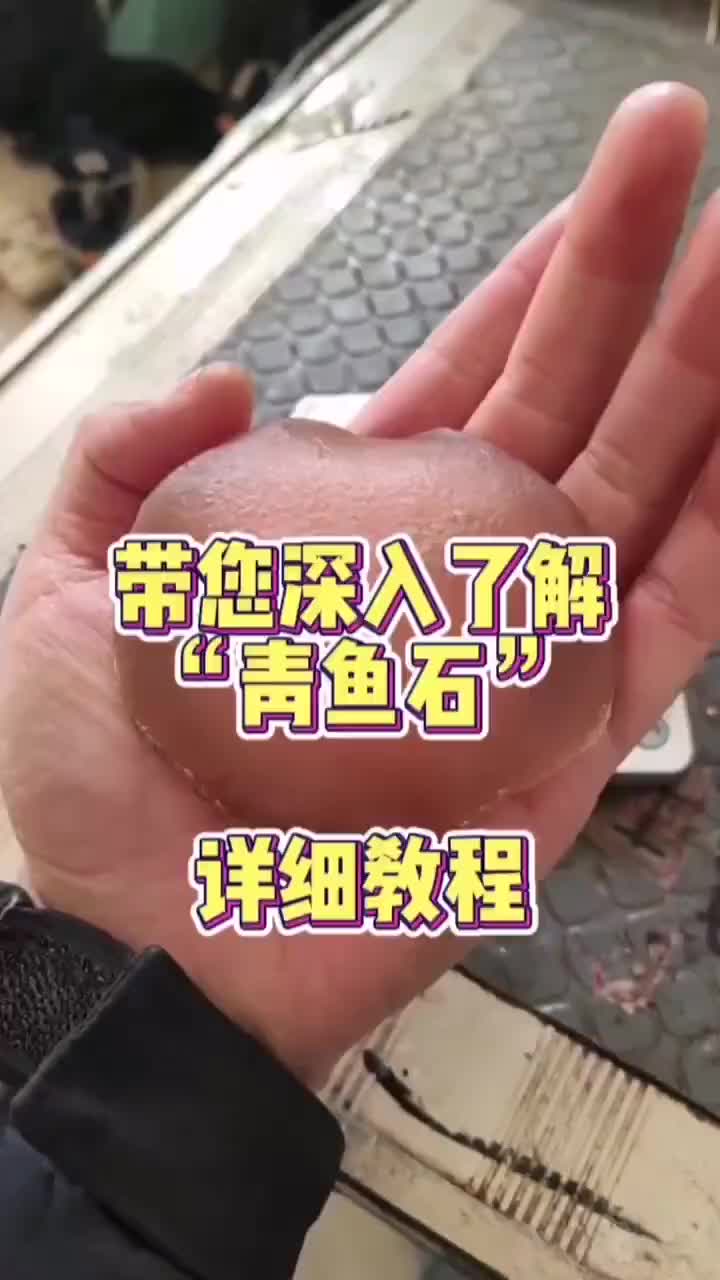 青鱼石的秘密你知道吗?