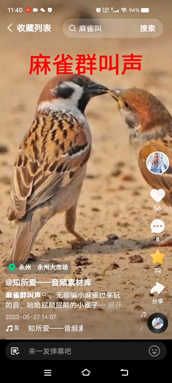 麻雀叫声,吸引鸟类