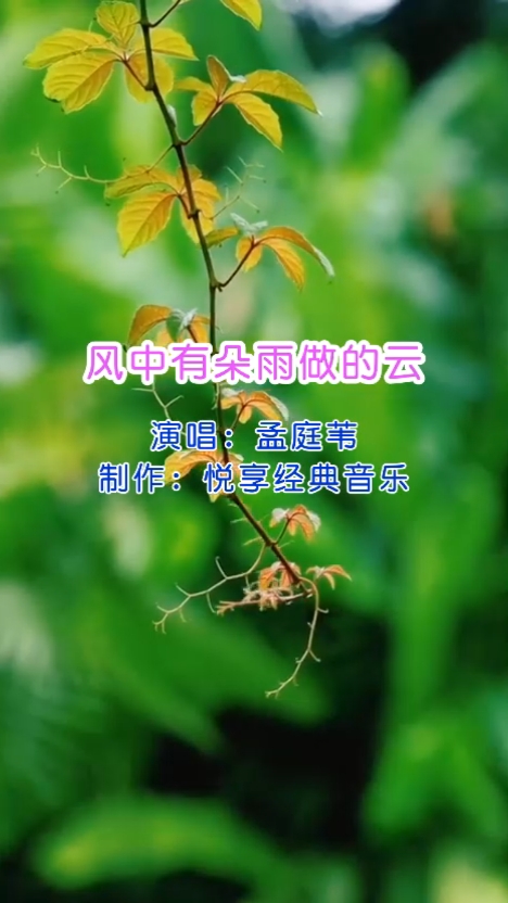 孟庭苇《风中有朵雨做的云》:玻璃珠滚未融雨,折叠星光凝固的忧