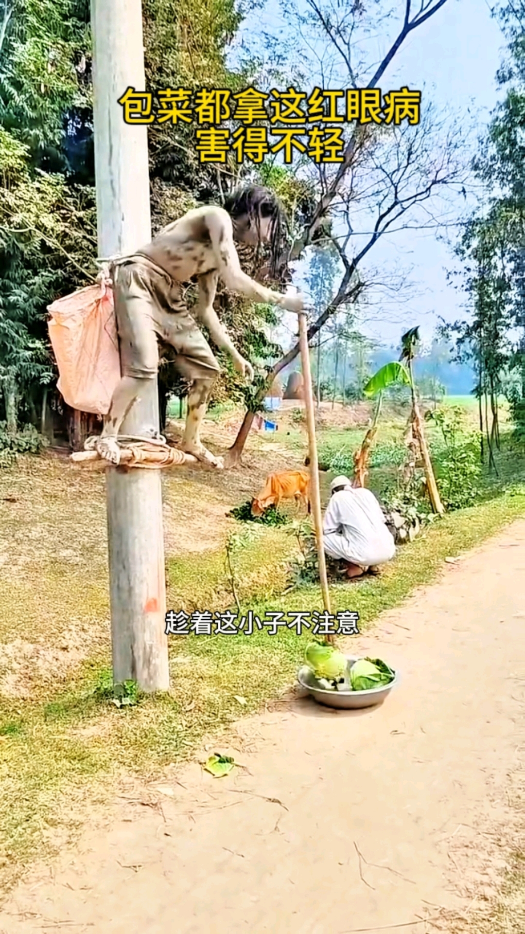 包菜都拿,这红眼病害得不轻