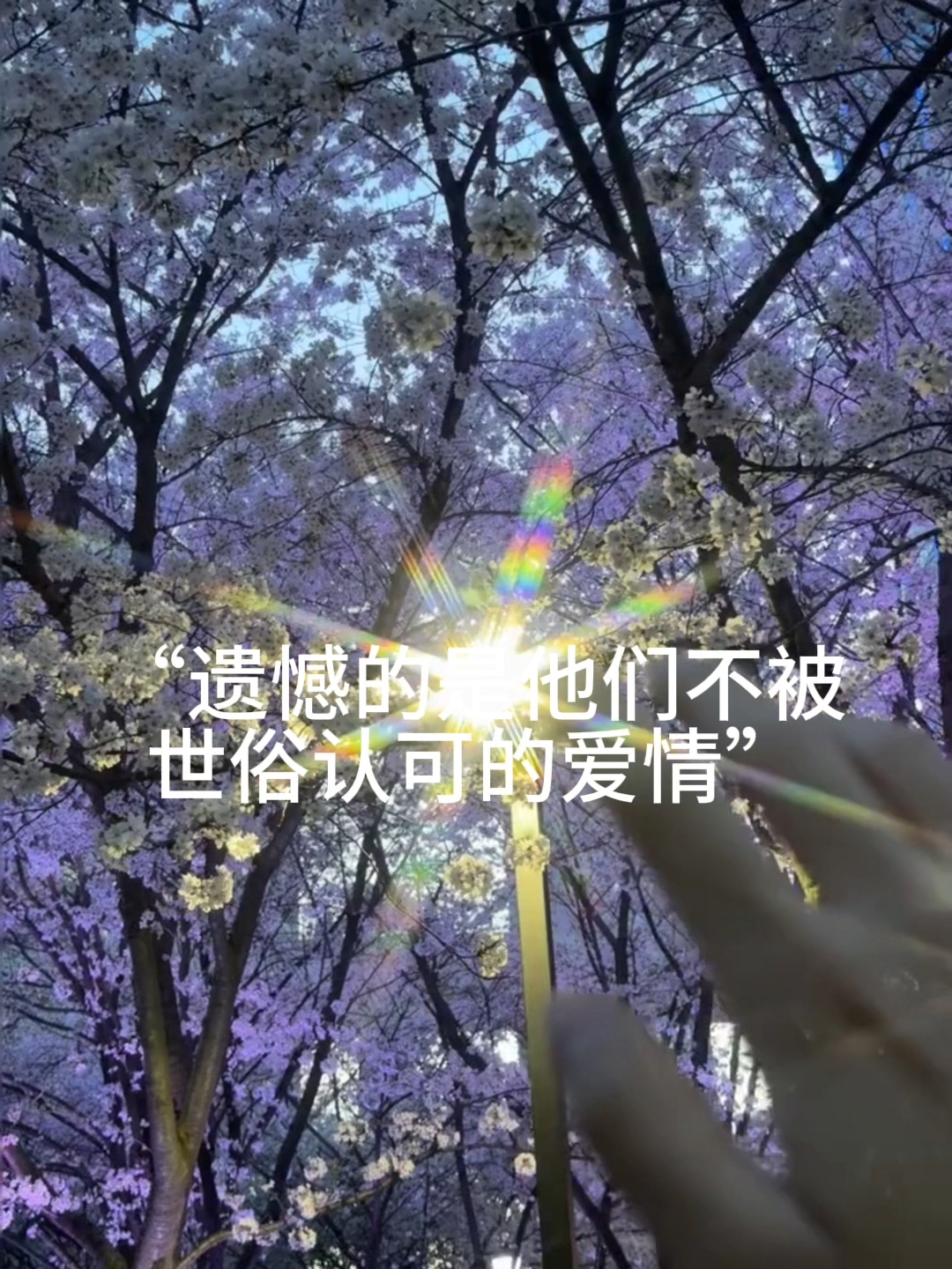 小说的遗憾是什么