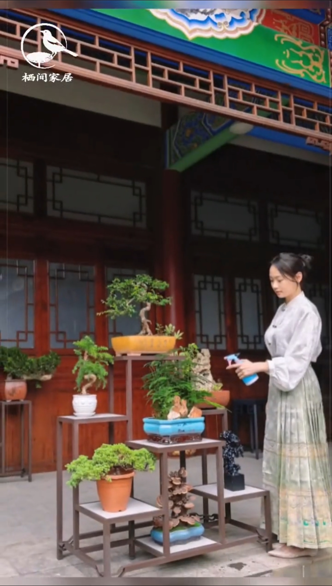 养了太多花卉盆景的友友们,这个架子喜欢不?