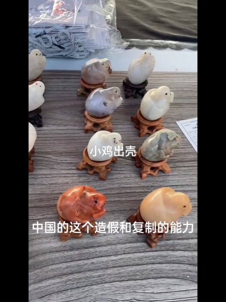 天价奇石小鸡出壳的展会现场成了养鸡场了。