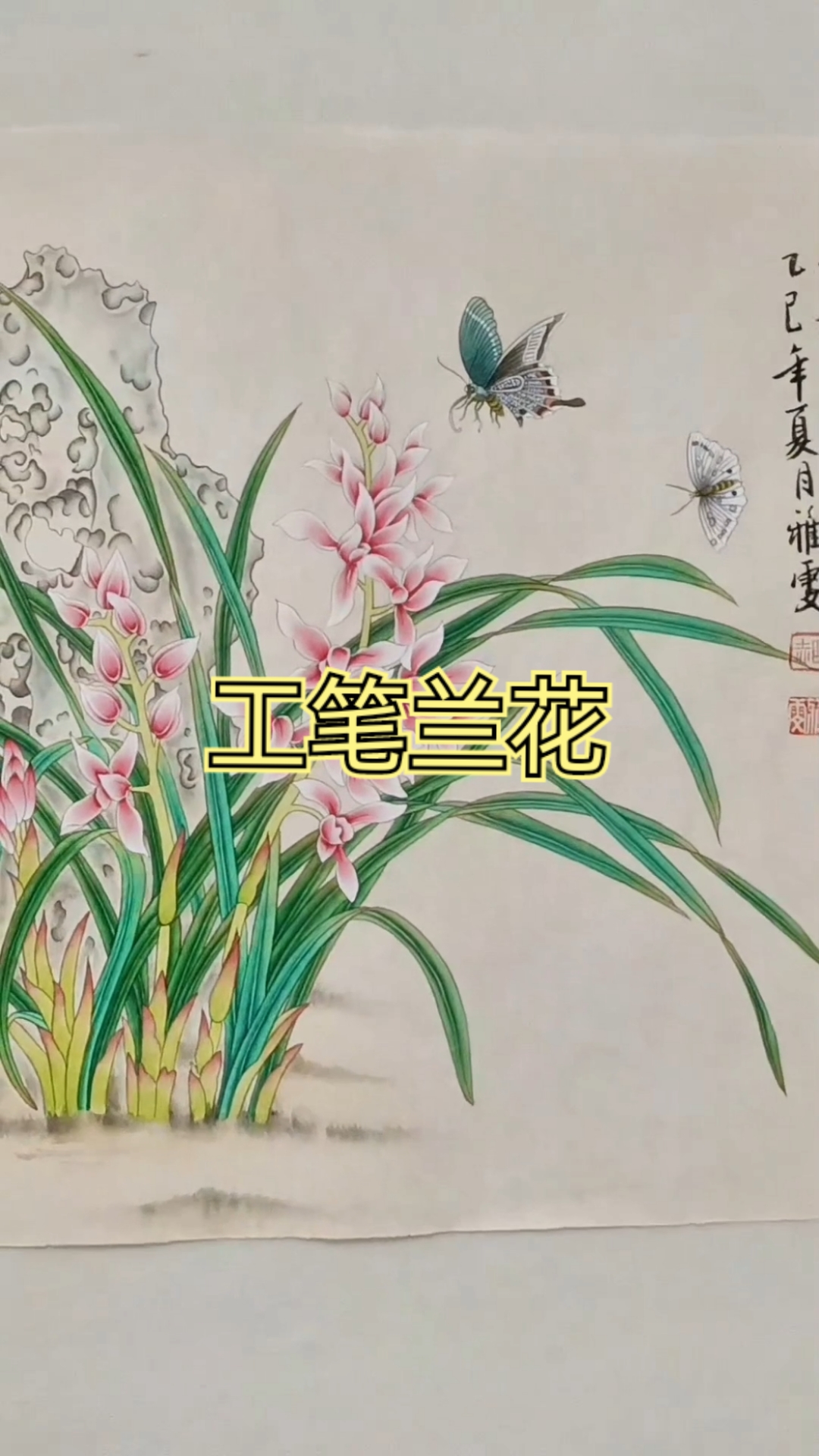 工笔画兰花,室雅兰花香!