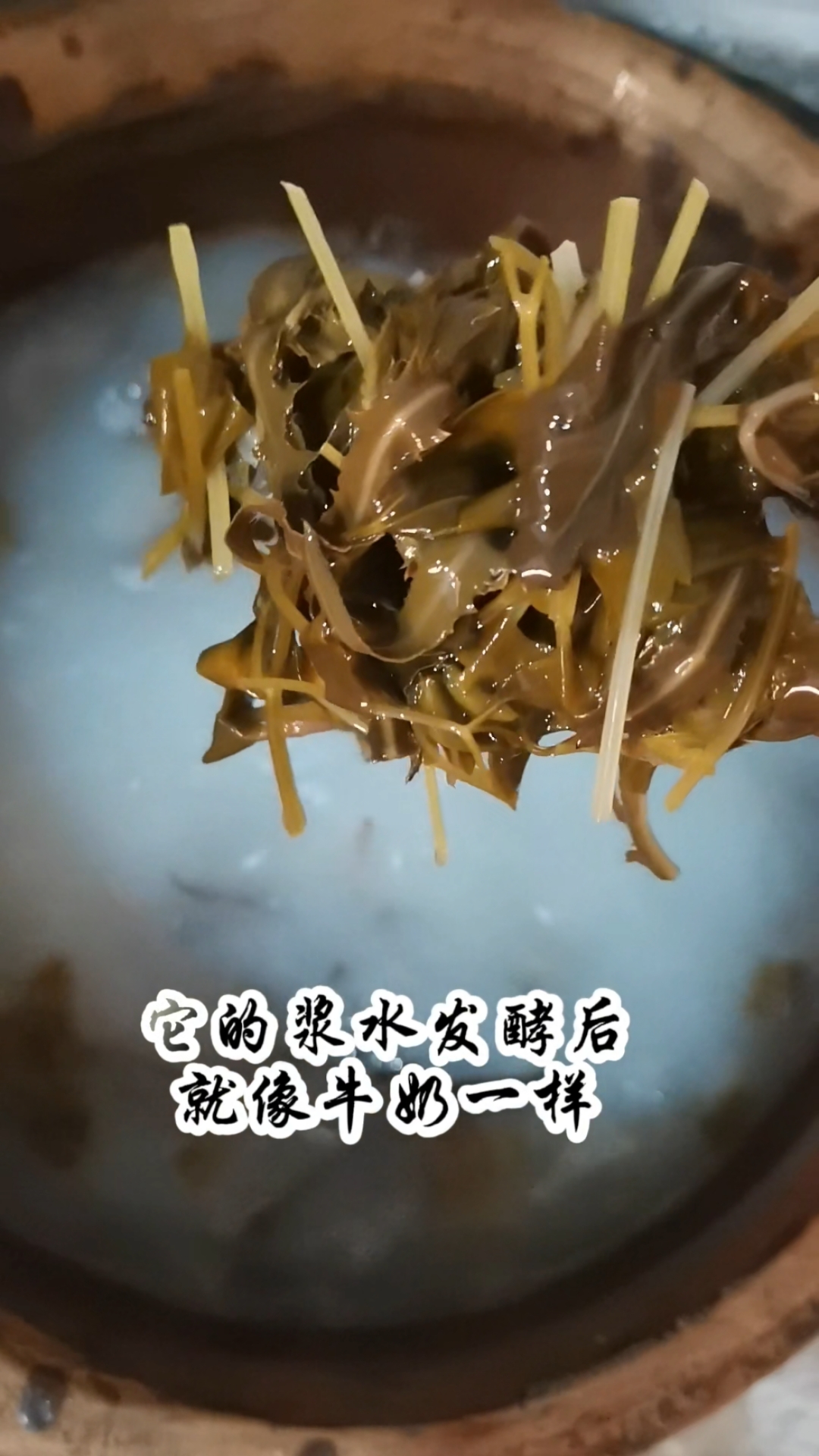野菜做的甘肃浆水酸菜汤汁如牛奶般白皙诱人