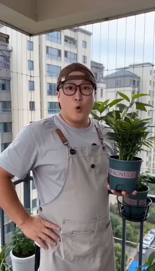 阳台养花小妙招#阳台种菜日常# #盆栽植物养护#