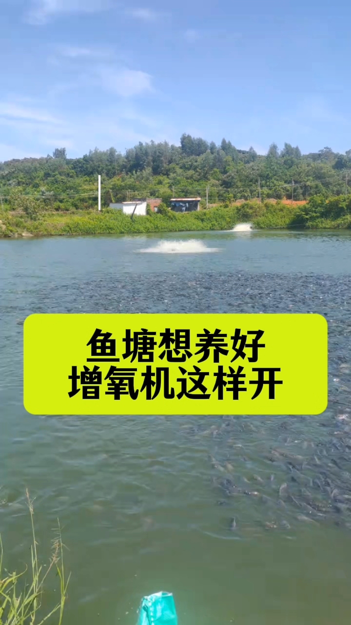 鱼塘想养好增氧机这样开