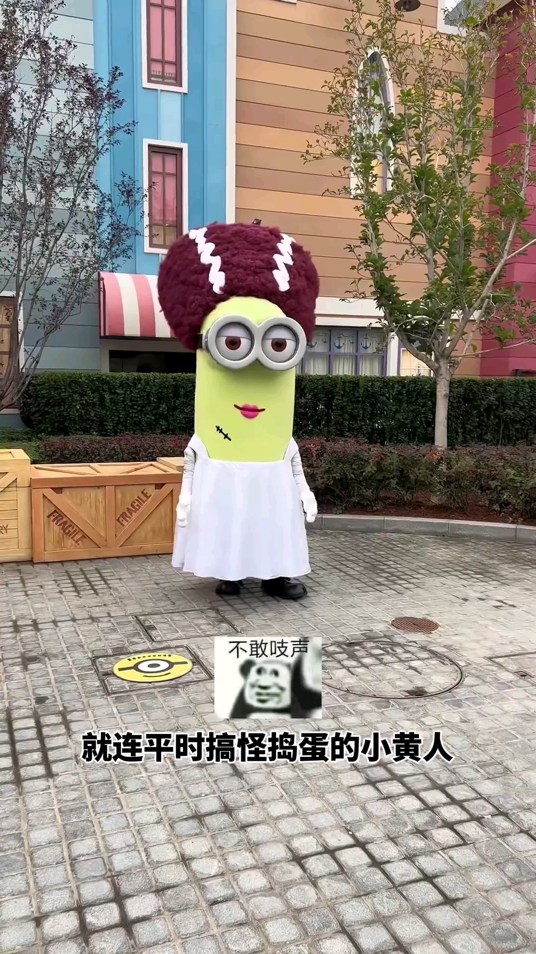 小黄人卡牌欧气对决之去惊奇农场过夜!