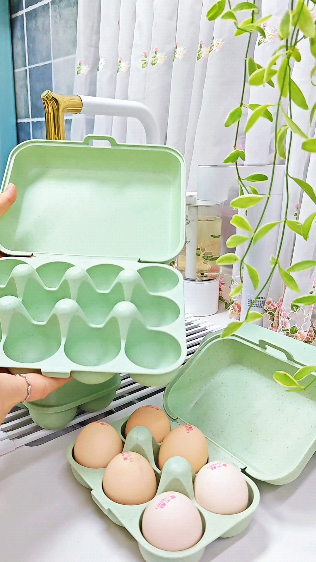 特意从宜卡实体店选回来的鸡蛋盒，防撞鸡蛋托，结实耐压#抖音橱窗#