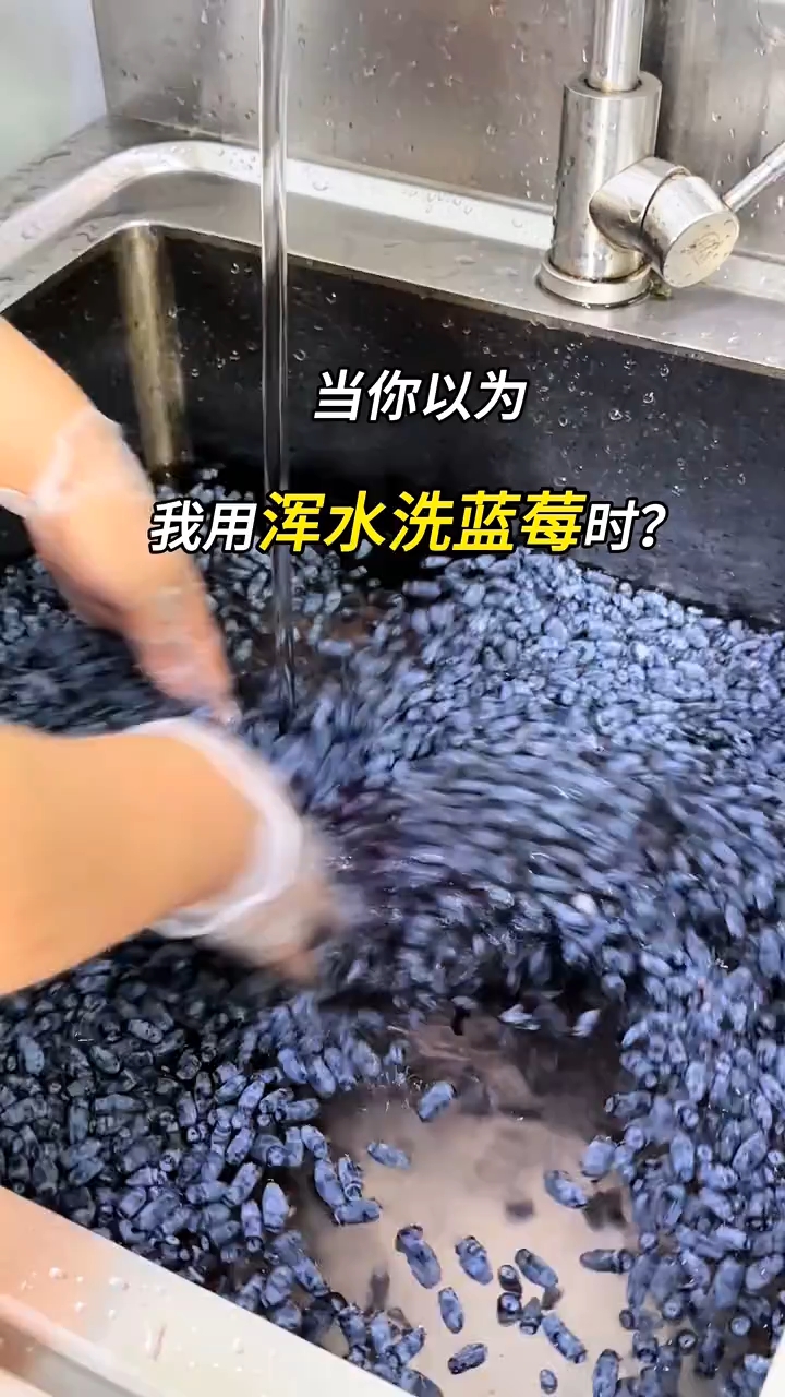 当你以为我用浑水洗蓝莓时? #夏日特饮 #仙女都在喝什么