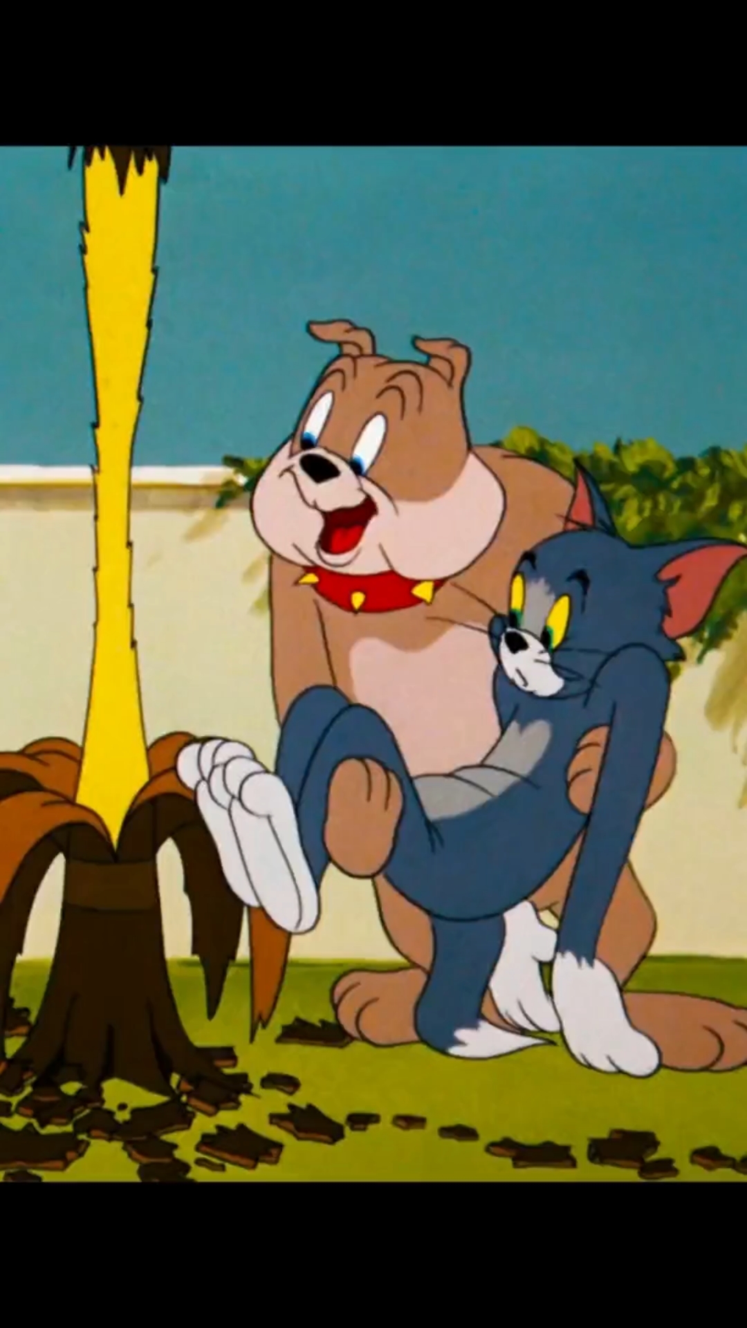 搞笑汤姆和杰瑞全集