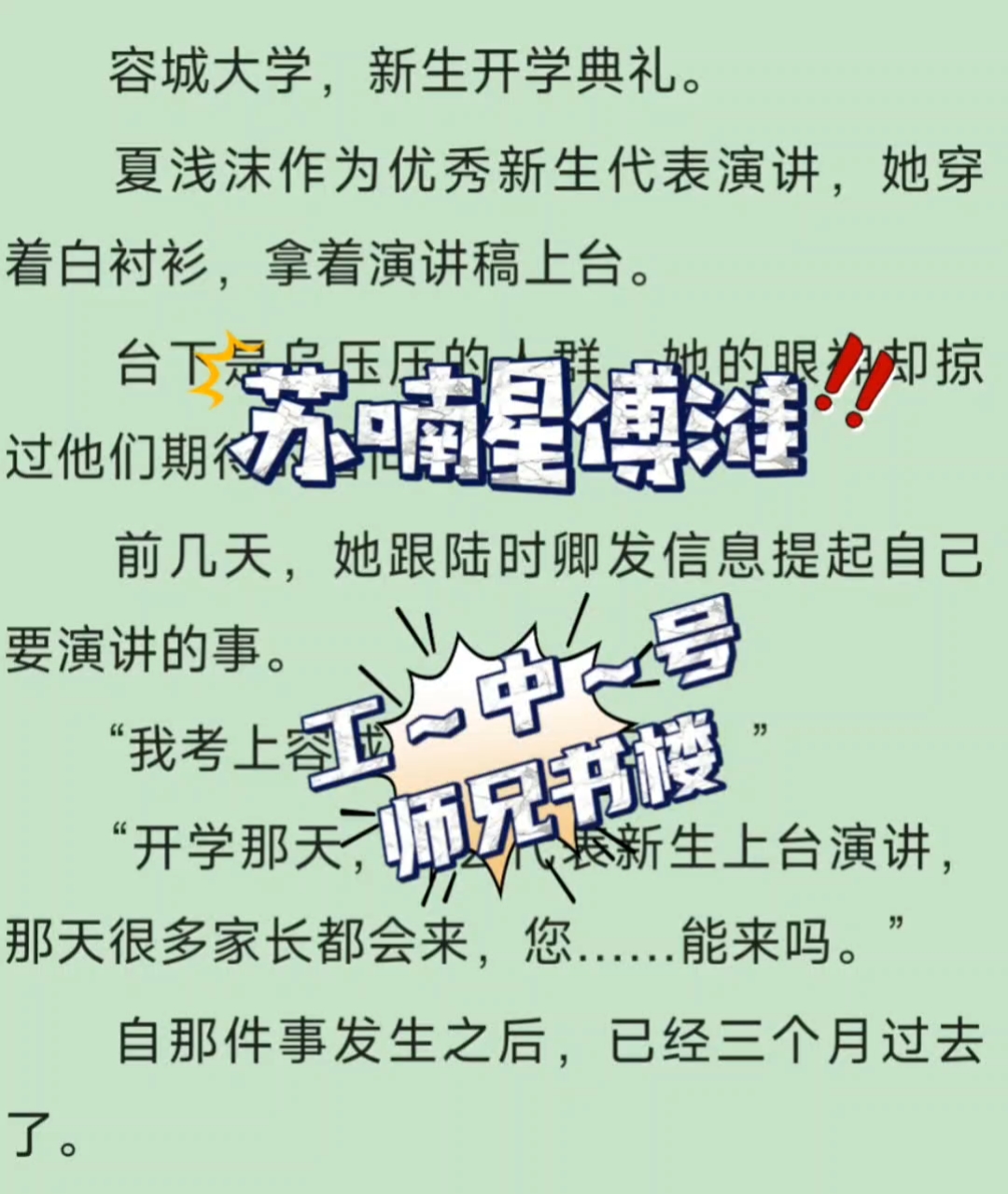 《苏喃星傅淮》～一树梨花压海棠