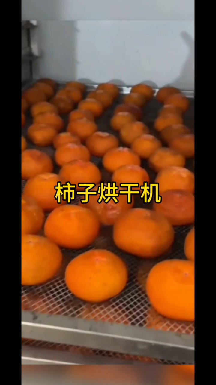 柿子烘干机 多功能电加热烘干机 菊花 蘑菇菌类 肉类海鲜风干