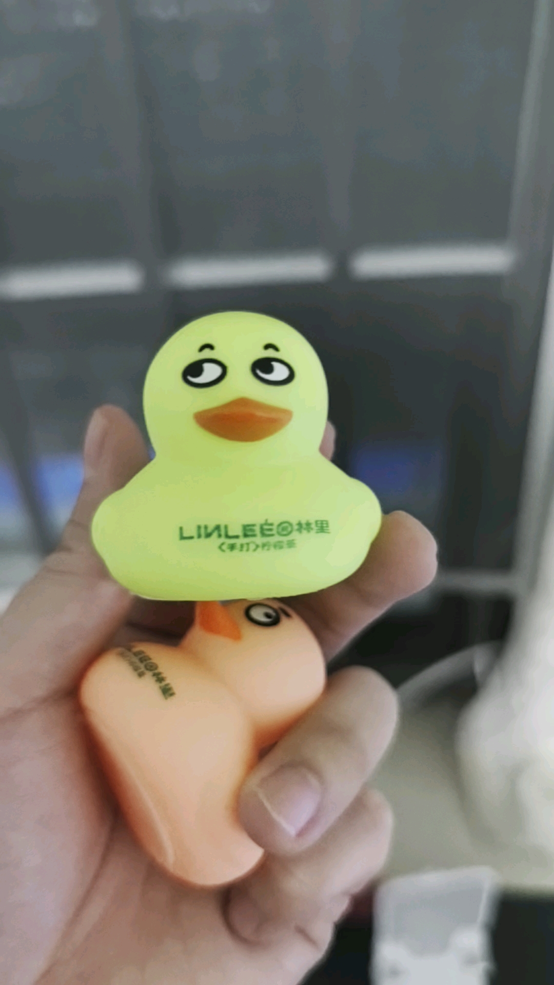 你们看这几只可爱的小鸭子,表情搞怪吧?