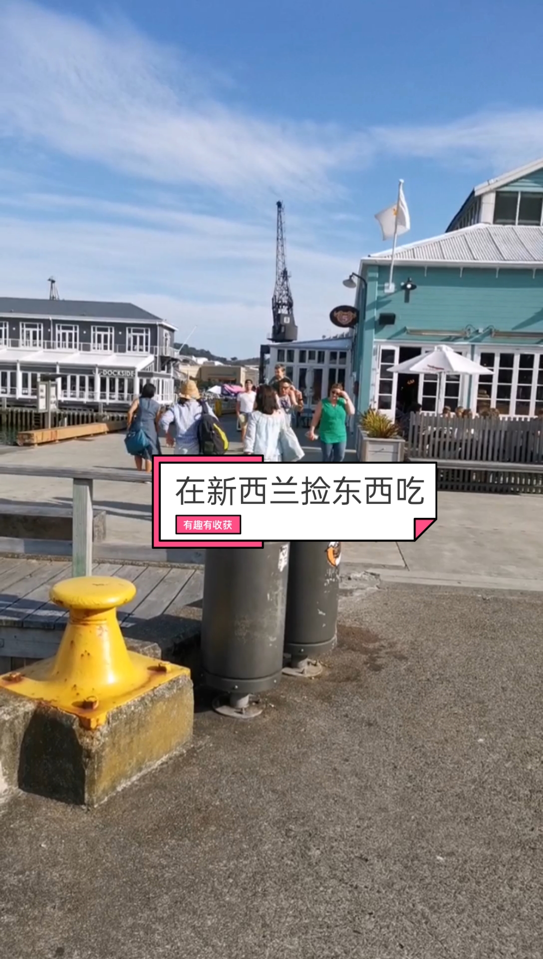 在新西兰捡了一堆1000一只的黑鲍鱼该怎么吃?