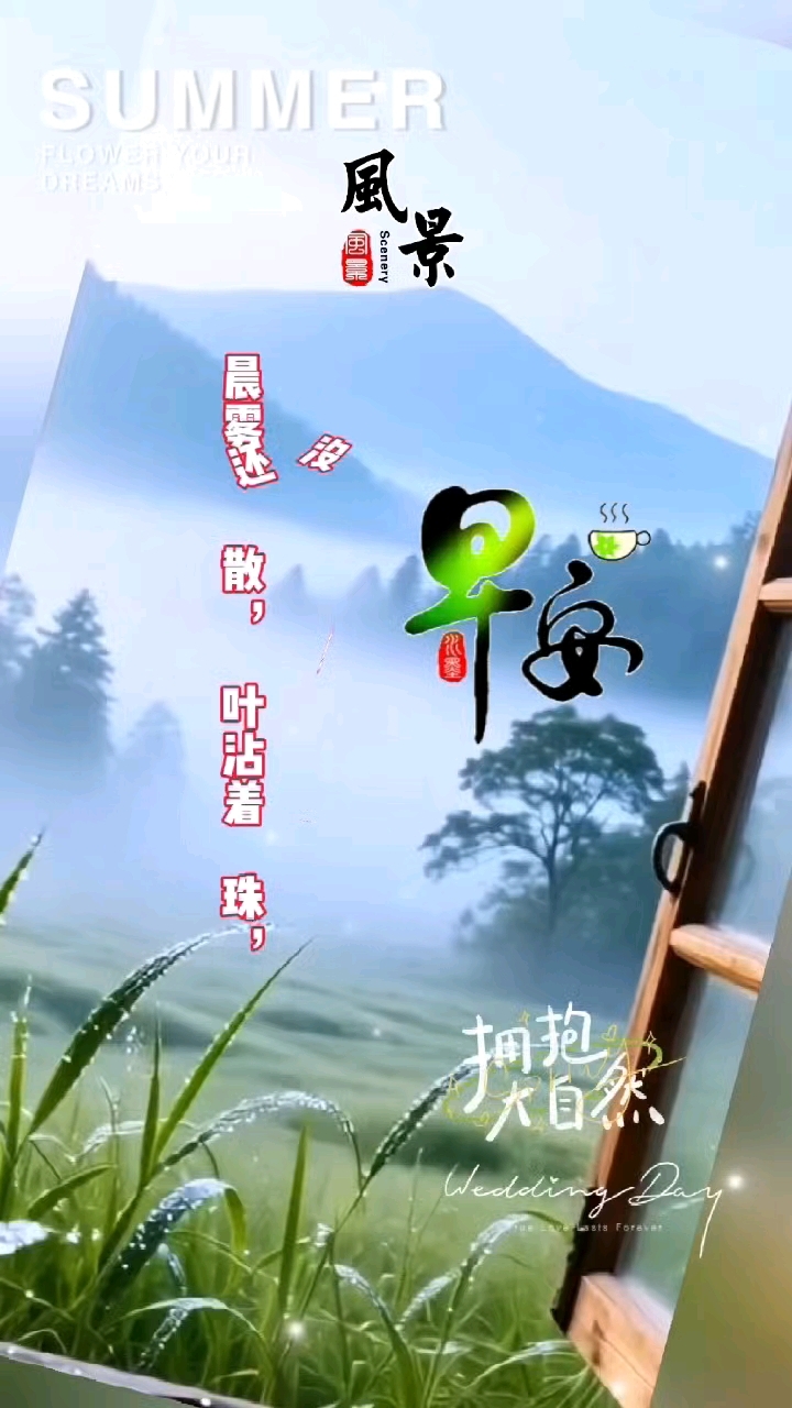 早安!风景