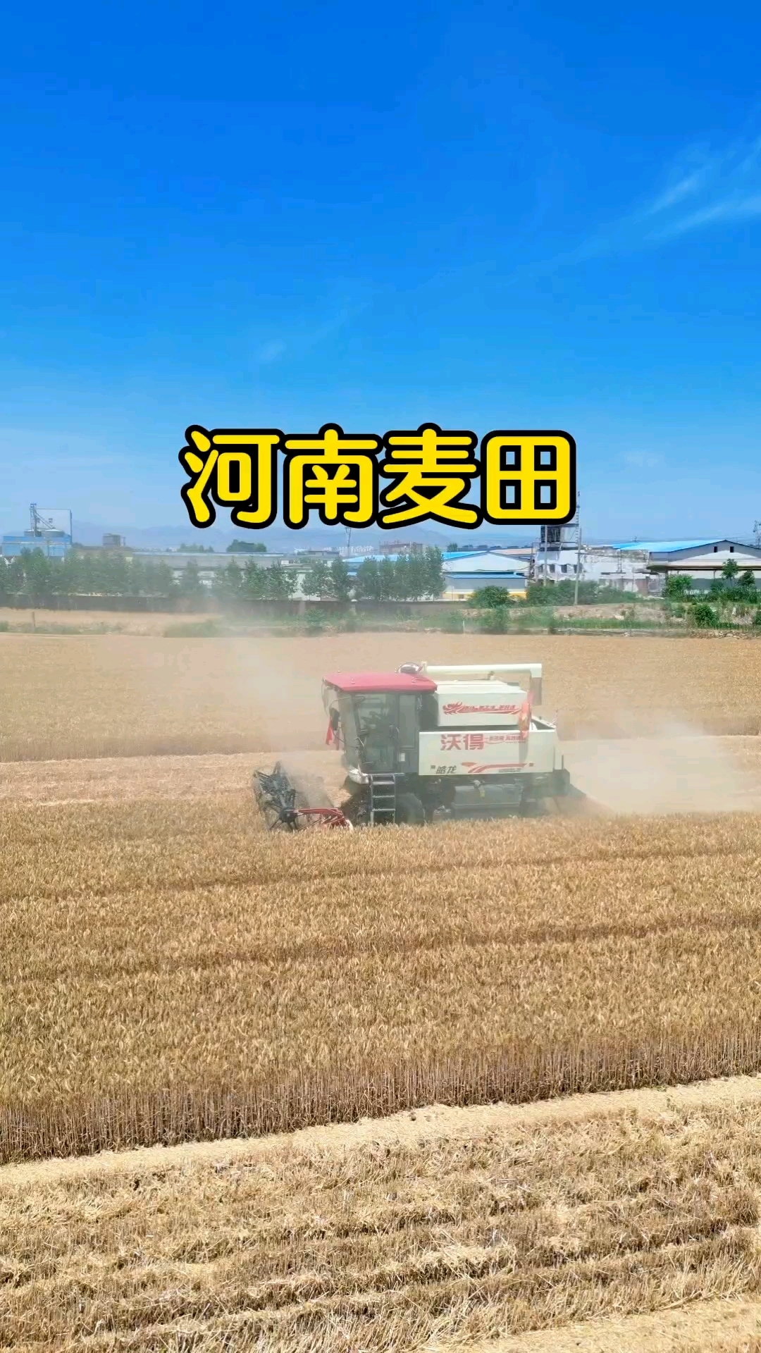 这是草原吗?不,这是面条,这是馍,这是包子,这是油条,这是根