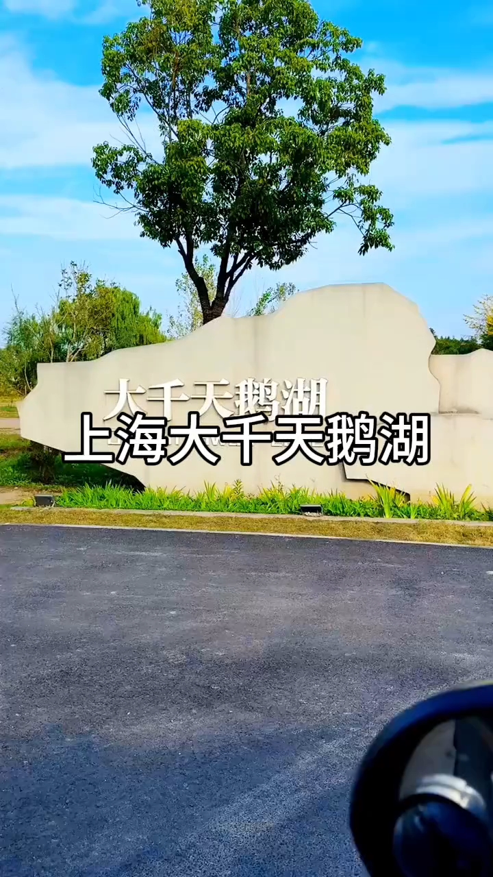 #上海大千天鹅湖#