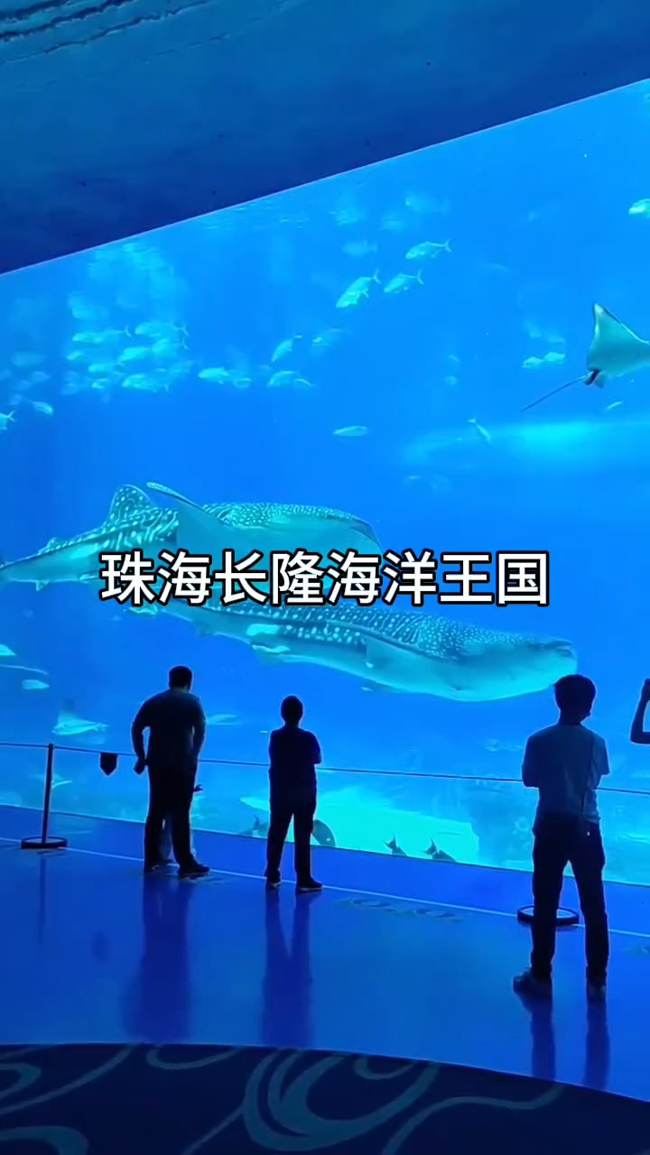 #珠海长隆海洋王国#