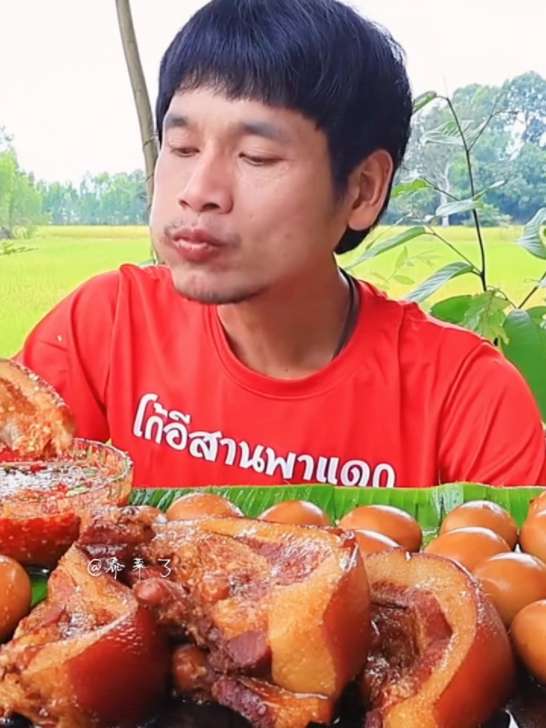 卤五花肉 搭配蔬菜