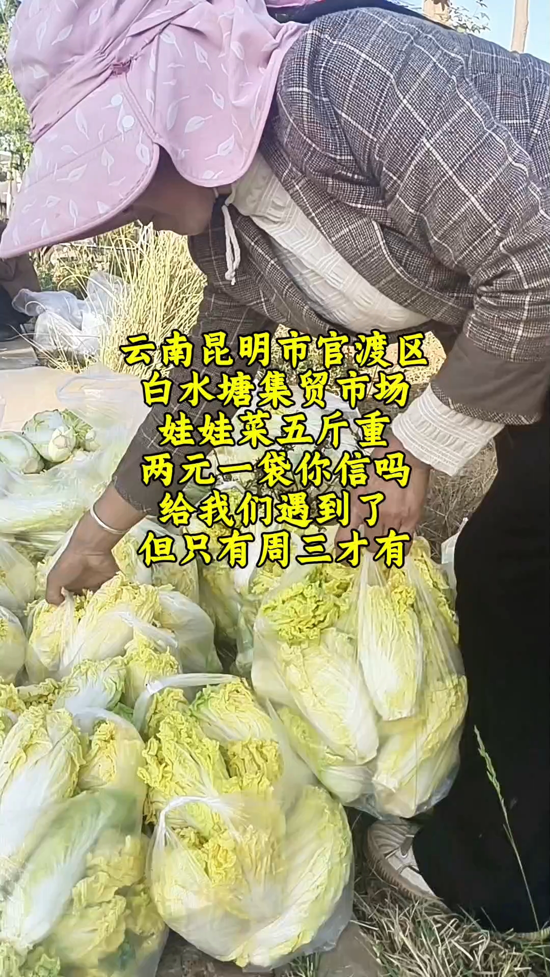在昆明市官渡区白水塘集市偶遇2元一袋的娃娃菜感叹农民实属不易