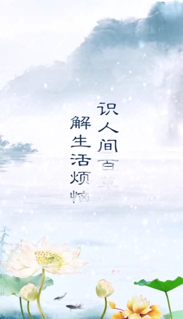 陈一堂丨每天认识一种中药材今天认识下黄柏!