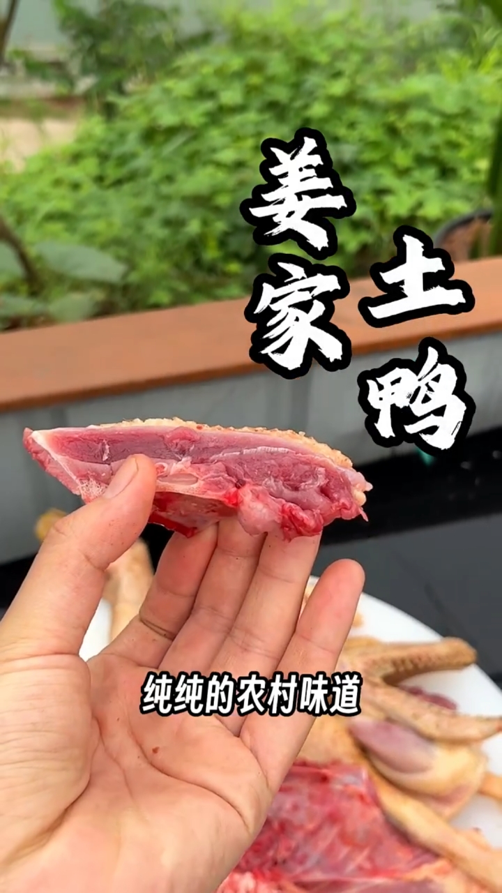 大山散养土鸭,小伙伴们可以约起来