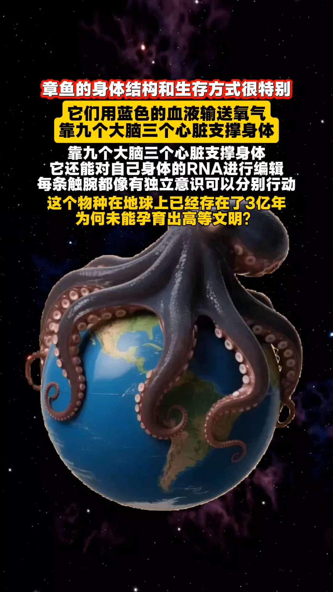章鱼为什么没有能够成为高等生物