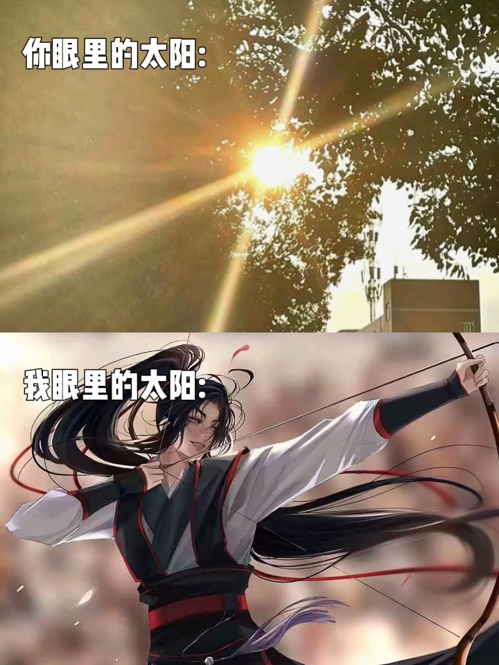小说妹眼中的太阳 .魏无羡