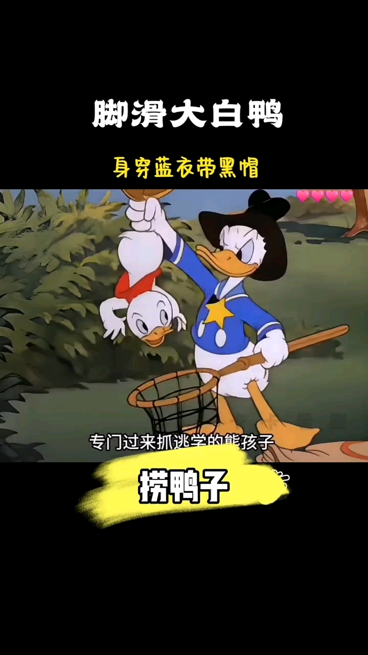 大白鸭